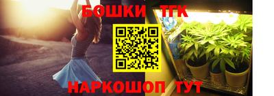 крисы Мариинск
