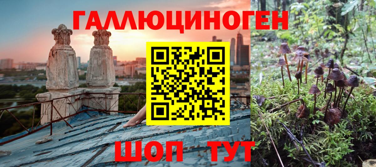 Галлюциногенные грибы Magic Shrooms  Вход с VPN  Псилоцибиновые грибы ЛСД  Грозный 